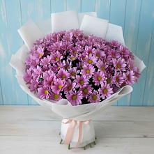Букет цветов из:  Хризантемы в Орда